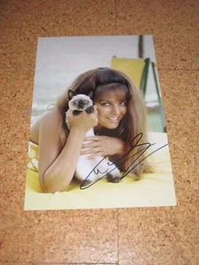 Sexy CLAUDIA CARDINALE handsigned 8x12 IN PERSON!  - Picture 1 of 1