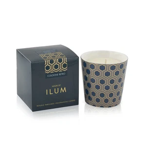 Ilum Cologne Retro Luxus Duftkerze in Deko Vase - 260g | handgegossen - Bild 1 von 2