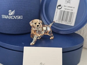 SWAROVSKI CRYSTAL 'GOLDEN RETRIEVER PUPPY STANDING' BRAND NEW - Picture 1 of 4