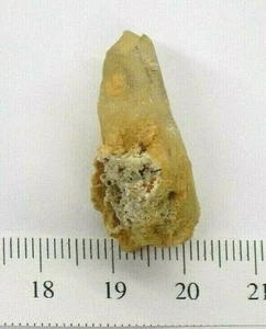 Cerussite Tsumb South West Africa w/ Original ID   Flat 2 331  H. Obodda - Picture 1 of 4