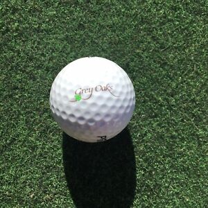 Grey Oaks Country Club Logo Golf Ball ( Naples, Florida) Collectible