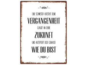 WANDSCHILD Metallschild EINE SCHWESTER VERSTEHT DEINE VERGANGENHEIT Geschwister - Bild 1 von 2