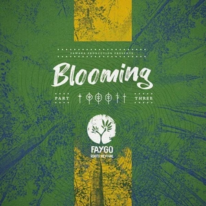 FAYGO BLOOMING 3 (Vinyl) (UK IMPORT) - Picture 1 of 1