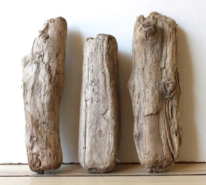 Treibholz Schwemmholz Driftwood 3 knorrige  Hölzer Terrarium  26-30 cm **107** - Bild 1 von 13