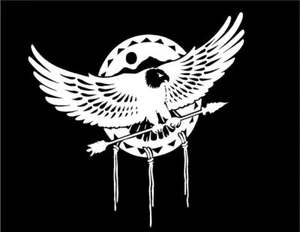 Calcomanía Eagle Crest plumas nativo americano Southwest Spirit pegatina de vinilo para coche - Imagen 1 de 2