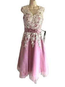 Designer bridesmaids Ball Gown Dress plum pink +white lace Bodice Built In bra 6 - Picture 1 of 18