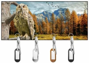 Pharoah Eagle Owl Wall Mounted Key Hanger/Key Holder - Picture 1 of 2