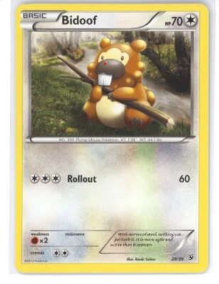 Bidoof XY: Kalos Starter Set 29/39 Pokemon TCG. Rare card! NM 0222#244 - Image 1 of 2