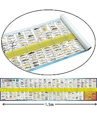 AFN Australian Fish ID Maxi Ruler BRAG MAT Water Proof