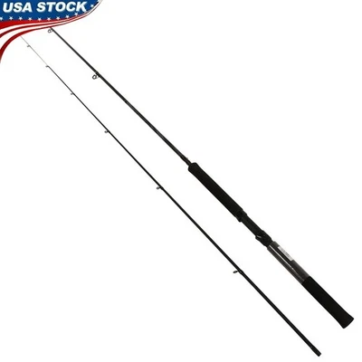 Crappie Hunter Fishing Rod 10ft Light IM-6 Graphite Spinning Rod 2 Piece New - Image 1 of 4