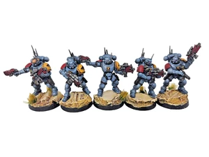 Warhammer 40k Space Marine Infiltrators Space Wolves Painted Games Workshop 40 k - Picture 1 of 9