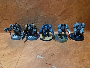 40k Space Marine Space Wolf Terminators - Picture 1 of 1