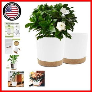 10-Inch Modern Plant Pot 2-Pack with Drainage Holes & Saucer for Stylish Decor - Picture 1 of 8