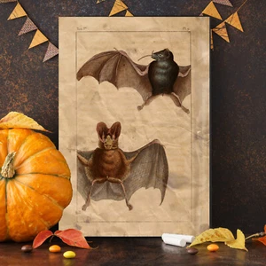 Spooky Bats Halloween Bats Poster Print Vintage Halloween Decor Nocturnal Bats - Bild 1 von 4