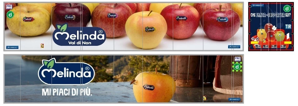 Grafica "MELINDA'" adesiva trasparente per semirimorchi frigo  Herpa 1/87. - Immagine 1 di 1