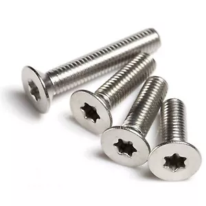 Bulk Qty 5.000 - M2,5 x 20 mm ISO 14581 vite piatta metrica 6 lobi macchina inox - Foto 1 di 2