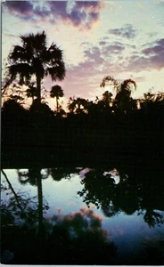 Another Lovely Day Almost Gone in Beautiful Florida, Sunset Postcard c1970 - Picture 1 of 2