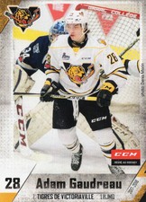 2017/18 Victoriaville Tigres - ADAM GAUDREAU