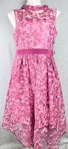 Eva Mendes Dress Womens Large Pink Lily Lace Sheer Overlay Gown Formal Wedding - Picture 1 of 19