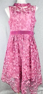 Vestido Eva Mendes Para Mujer Grande Rosa Encaje Transparente Vestido Lirio Formal Elegante Foto 1 de 4