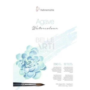BLOCCO CARTA PER ACQUERELLO IN AGAVE 290 GR 30X40 CM - Foto 1 di 1