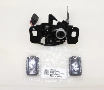 NEW OE GM Remote Start Hood Latch & Key Fob Set 84424019 Chevy Silverado HD 2019 - Image 1 of 4
