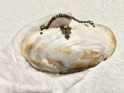 Antiguo bolso sin asas madreperla cambio eduardiano victoriano Foto 1 de 4