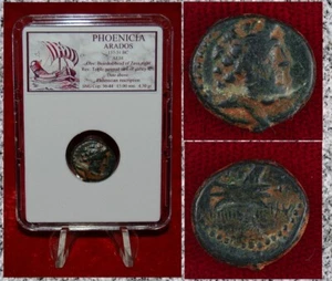 Moneda Antigua FENICIA ARADOS Zeus y Galera Bronce - Imagen 1 de 4