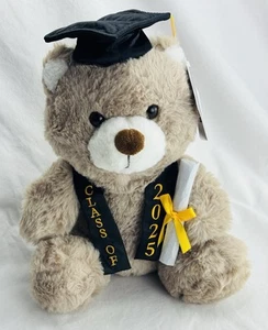 Graduation Class of 2025 Gift Collectible Plush BEAR Grad Cap & Holding Diploma - Picture 1 of 7