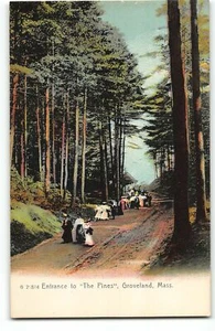Entrance to THE PINES, Groveland, Massachusetts - c1905 UDB Postcard - Picture 1 of 2