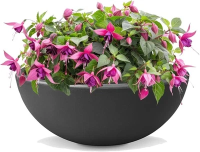 Pflanzschale Ø 40 cm – Miniteich & Dekoschale für Garten, Balkon, Innenbereich - Bild 1 von 2