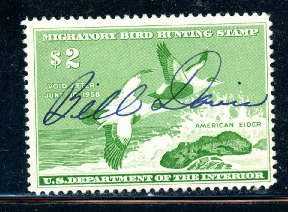 US Duck Scott # RW24  - Used - Signed - CV=$10.00 - Image 1 of 1