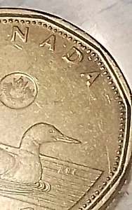 2012 Loonie Canadian Extra Dots 001217 - Bild 1 von 8