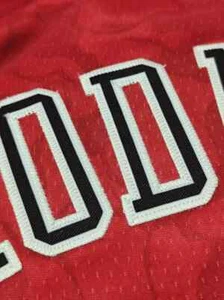 CAMISETA DENNIS RODMAN #91 CHICAGO BULLS Talla 2XL Estilo Cosida EL GUSANO - Imagen 1 de 6
