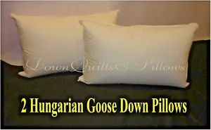 2 STANDARD SIZE PILLOWS FIRM - 95% HUNGARIAN GOOSE DOWN - EUROPEAN QUALITY - Picture 1 of 2