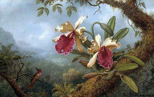 Reproducción artística de orquídeas y colibríes de Martin Johnson Heade - Imagen 1 de 3