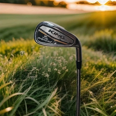 King Cobra Golf Club Oversize 4 Iron Project X 6.0 Pxi Stiff 39" UPC164 - Image 1 of 4