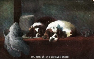 Entzückende KING CHARLES SPANIEL HUNDE auf bunter alter unbenutzter Postkarte - Bild 1 von 2