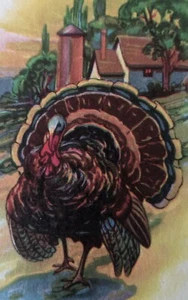 Lot 7 THANKSGIVING Turkeys POSTCARD Pumpkin Corn Air Brushed Germany Antique - Picture 1 of 12