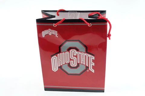 NCAA Ohio State Medium Gift Bag Cover