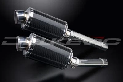 Silenciador Delkevic 9" carbono ovalado - Honda CBR1100XX Blackbird 1996-2009 Foto 1 de 3