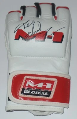 GUANTE GLOBAL FIRMADO POR FEDOR EMELIANENKO AUTO'D M-1 CERTIFICADO DE AUTENTICIDAD BAJO ORGULLO BELLATOR FC B Foto 1 de 4