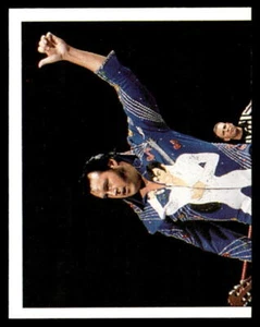 Pegatinas Honky Tonk Man 1997 Panini WWF Superstars #134 - Imagen 1 de 2