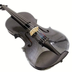 New 4/4 Solid Wood Black Violin(VB-310BK) + Case+ Bow+ Rosin+ Violin string set - Picture 1 of 8