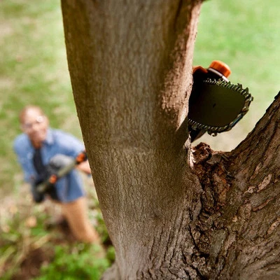 Potatore a batteria telescopico WORX WG349E - lama da 20cm - Immagine 1 di 4