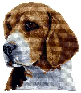 Beagle Head Study Counted Cross Stitch Kit with fabric, chart, floss and needle - Picture 1 of 2