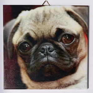 Azulejo decorativo mural azulejo de imagen bienvenida perro pug (110DP) idea de regalo azulejo - Imagen 1 de 2