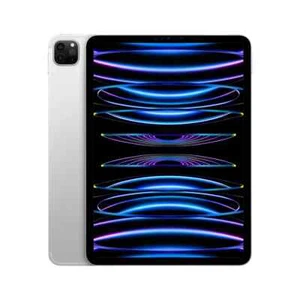Apple iPad Pro 4th Gen 2022, 11 Inch, WiFi + Cellular 2TB in Silver MNYM3B/A NEW - Picture 1 of 20