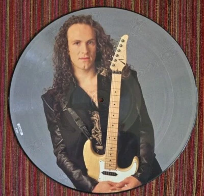 Def Leppard Have You Ever Needed Someone So Bad 1992 rare 12 in UK Picture Disc - Image 1 of 3