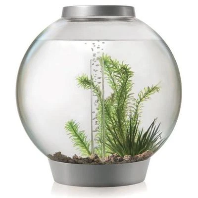 biOrb Nano-Aquarium Komplett-Set CLASSIC 30 MCR silber - Bild 1 von 2